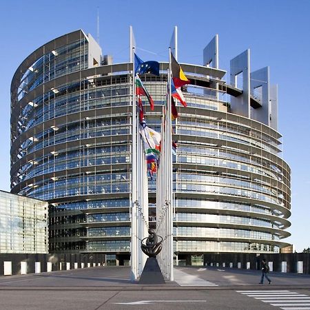 Green Cellar Studio Centre De Strasbourg - 5 Min Conseil De L'Europe Exterior foto